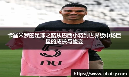 熊猫足球直播平台